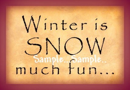 I49 - Winter is SNOW much fun... Signs